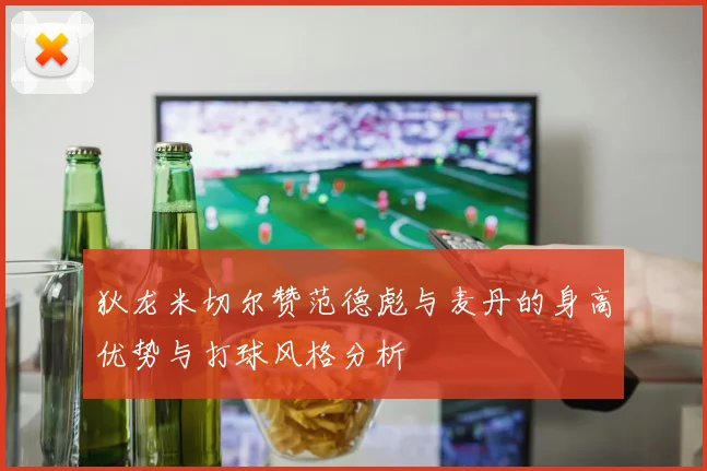 狄龙米切尔赞范德彪与麦丹的身高优势与打球风格分析